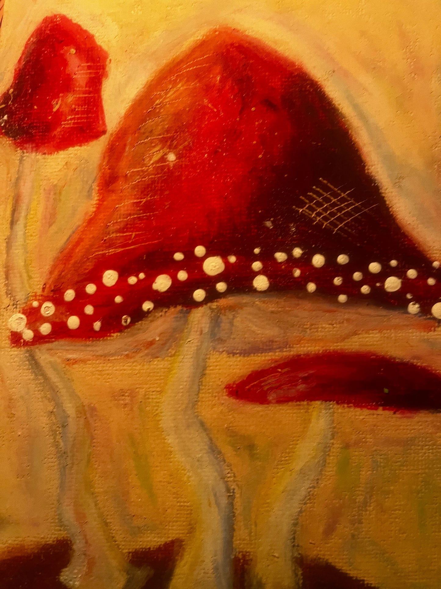 ‘New Beginnings’